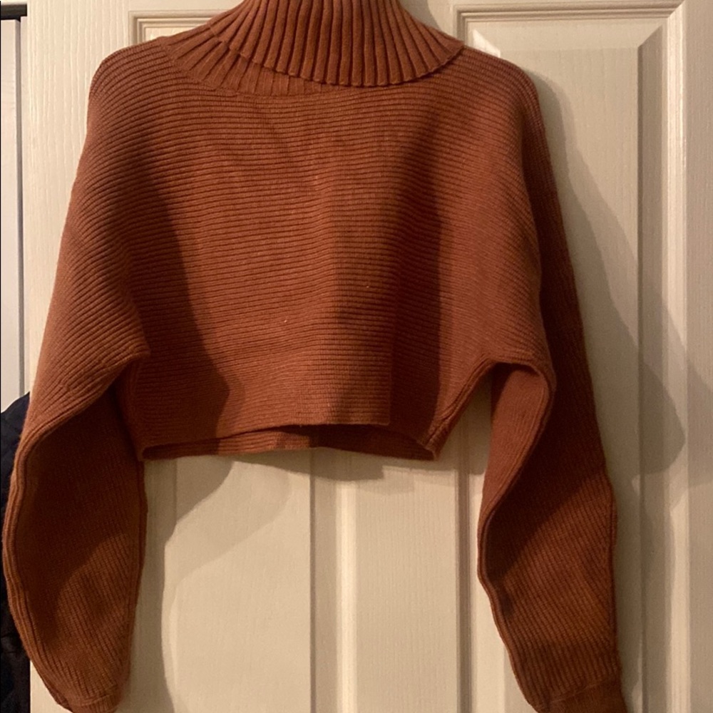 Long sleeve cropped turtleneck